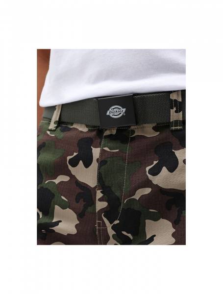 Dickies - Orcutt Belte - Grønn