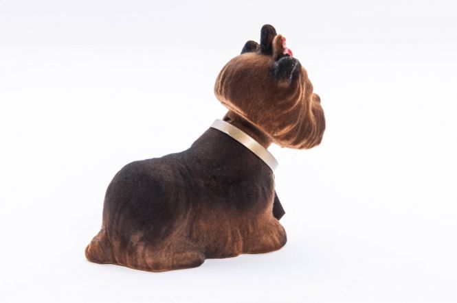 Hovedbilde Jorkshire Terrier - liten nikkehund