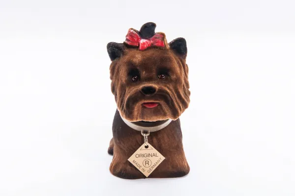 Jorkshire Terrier - liten nikkehund