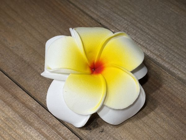 Hawaii-blomst - Hvit/gul dobbel