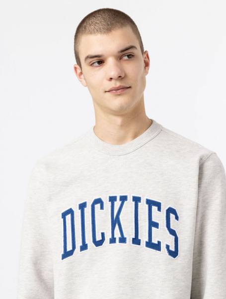 Dickies - Aitkin Collegegenser - Grå/Navy