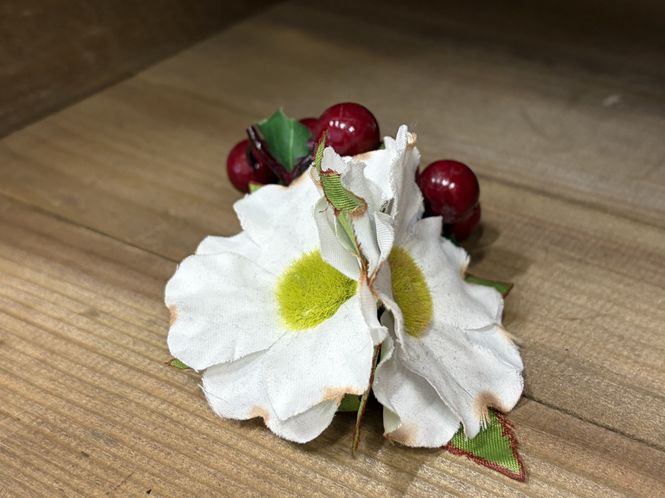 Hovedbilde Zina Hårblomst