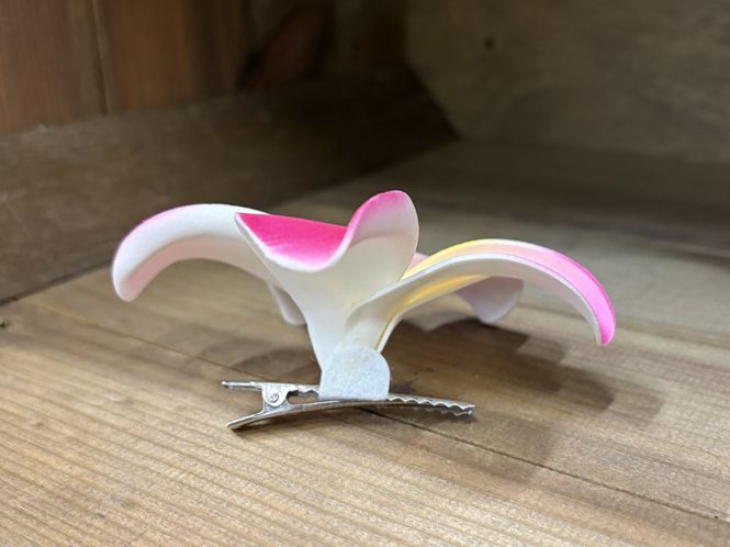 Hovedbilde Fiona Hairclip Pink
