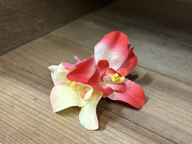Hovedbilde Blossom Hairclip - Multi